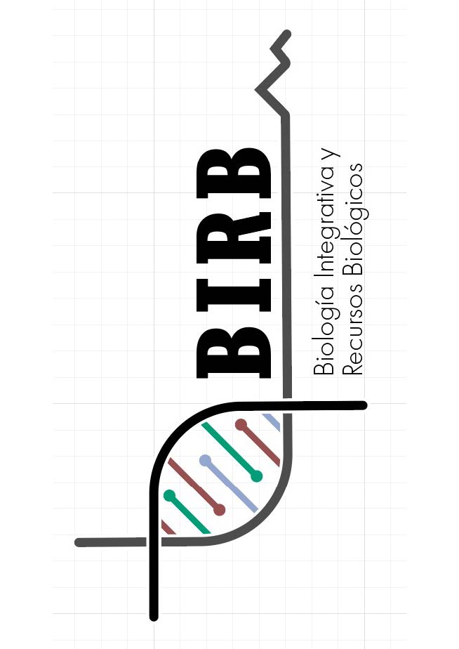 Logo BIRB